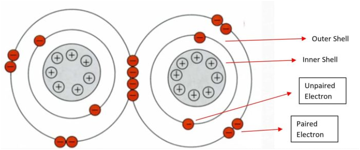 paired Electrons